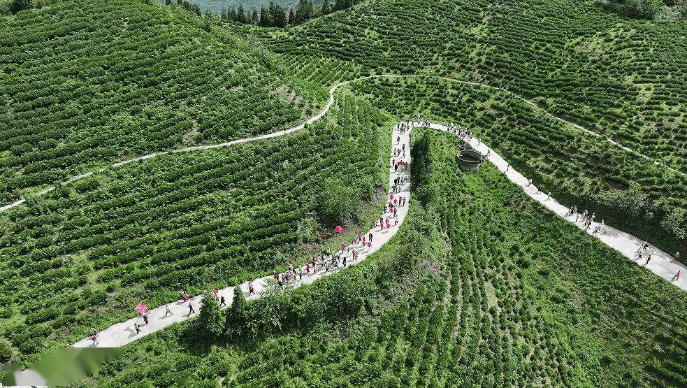 安顺“村字号”！“村走”“村超”“村BA”，超燃又激情！